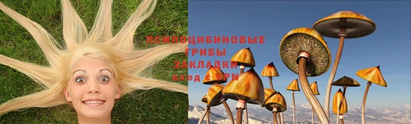 таблы Бородино