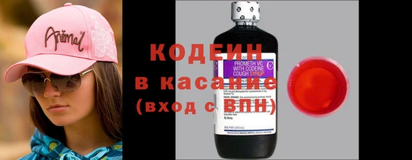 МДПВ Пересвет