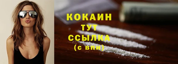 сатива Переславль-Залесский