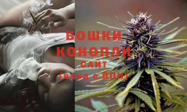 стафф Бронницы
