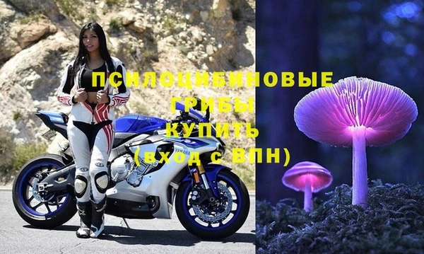 таблы Бородино